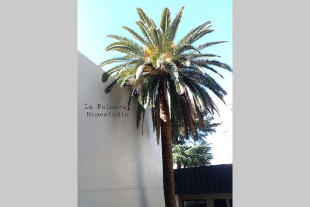La Palmera Homestudio. Hermoso Apartamento En El Corazon De Palermo Hollywood Buenos Aires Dış mekan fotoğraf